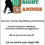 all_bright_canines